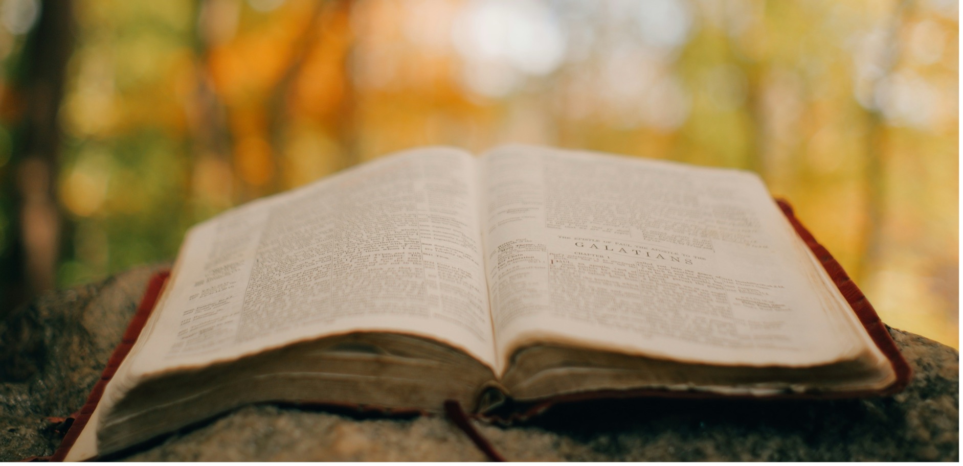 #slidecaption1 トータルコンサルティング